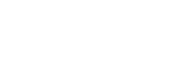 Bolton Services WNC logo white